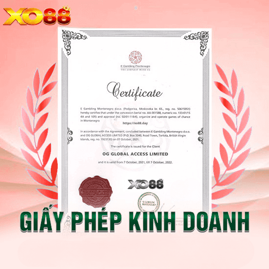Giáy phép kinh doanh cá cược xo88